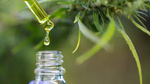 Aceite de cannabis Aceite de cannabis