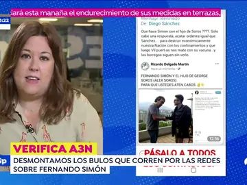 Un falso Fernando Simón aparece con Alexander Soros en una imagen viral  Un falso Fernando Simón aparece con Alexander Soros en una imagen viral