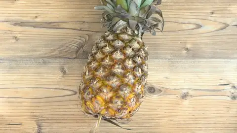 Piña Piña