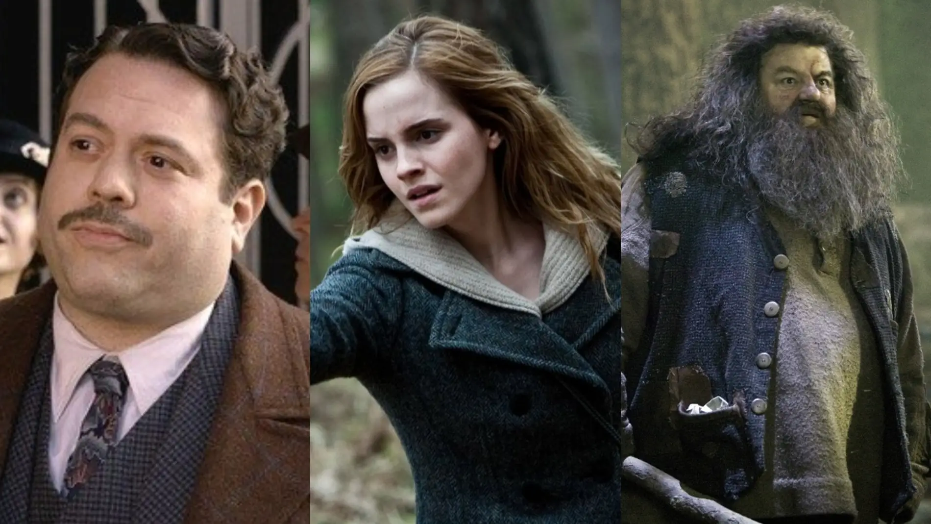Jacob junto a Hermione y Hagrid