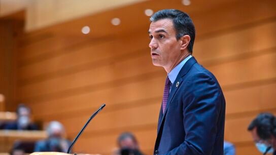 El presidente del Gobierno, Pedro S&aacute;nchez