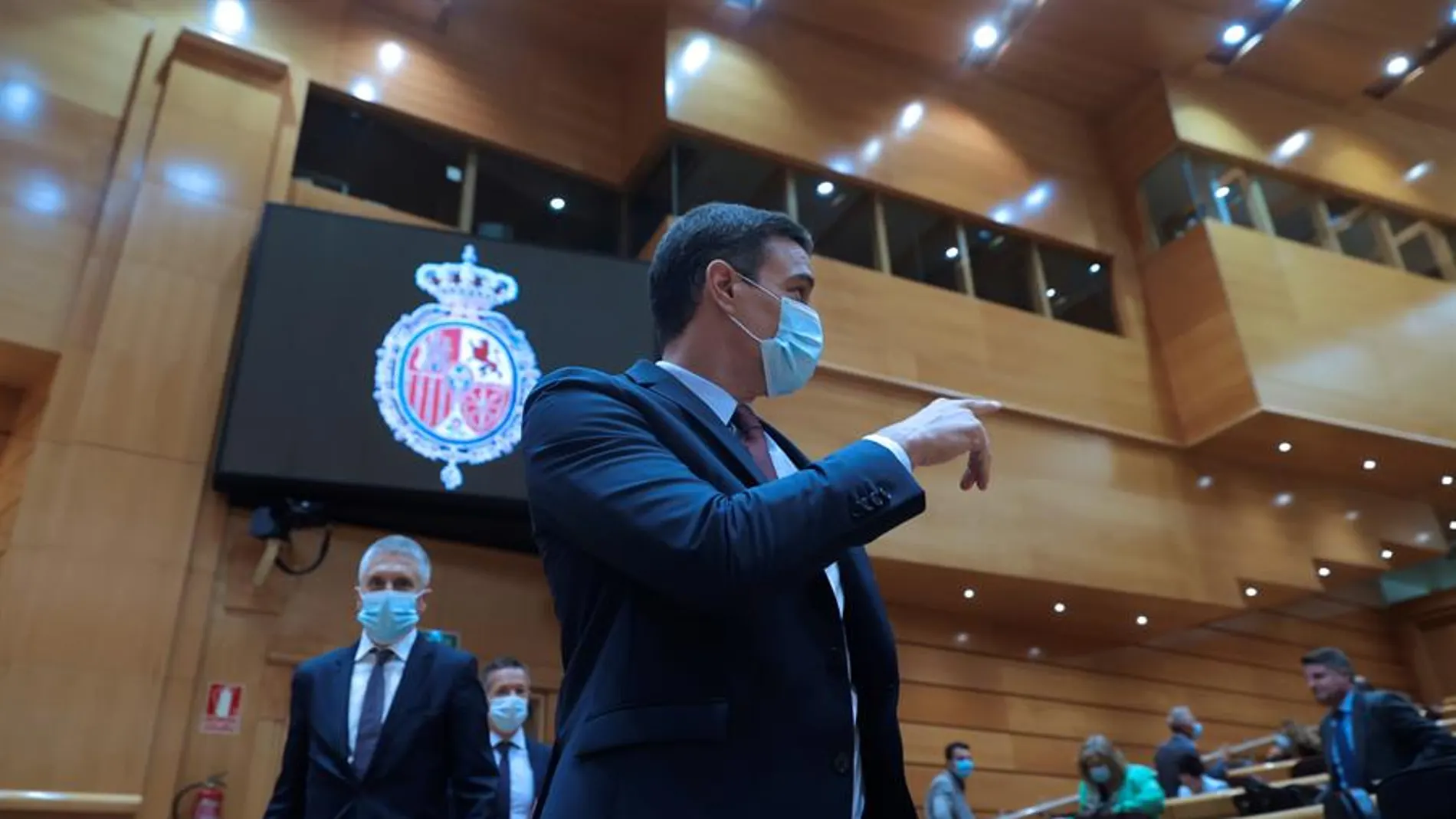 Sánchez inicia curso político en un pleno monográfico en el Senado Sánchez inicia curso político en un pleno monográfico en el Senado
