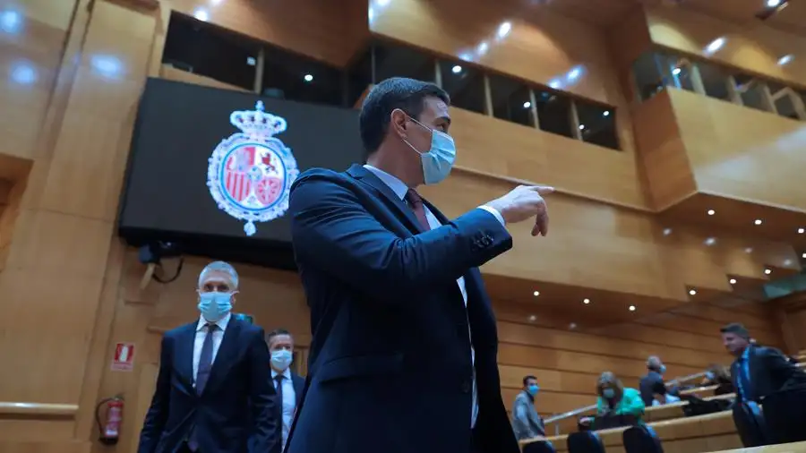 Sánchez inicia curso político en un pleno monográfico en el Senado Pedro Sánchez