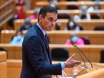  El presidente del Gobierno, Pedro Sánchez, en el pleno del Senado donde ha comparecido para informar sobre la evolución y gestión de la pandemia del coronavirus en diferentes ámbitos.