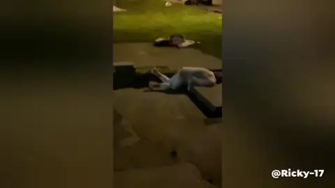 Una boda acaba siendo una auténtica batalla campal y con la novia a puñetazo limpio en Gales Una boda acaba siendo una auténtica batalla campal y con la novia a puñetazo limpio en Gales