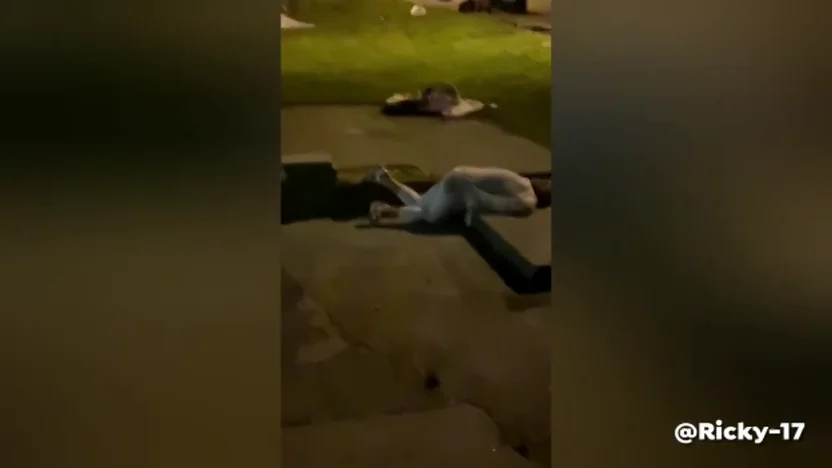 Una boda acaba siendo una auténtica batalla campal y con la novia a puñetazo limpio en Gales Una boda acaba siendo una auténtica batalla campal y con la novia a puñetazo limpio en Gales