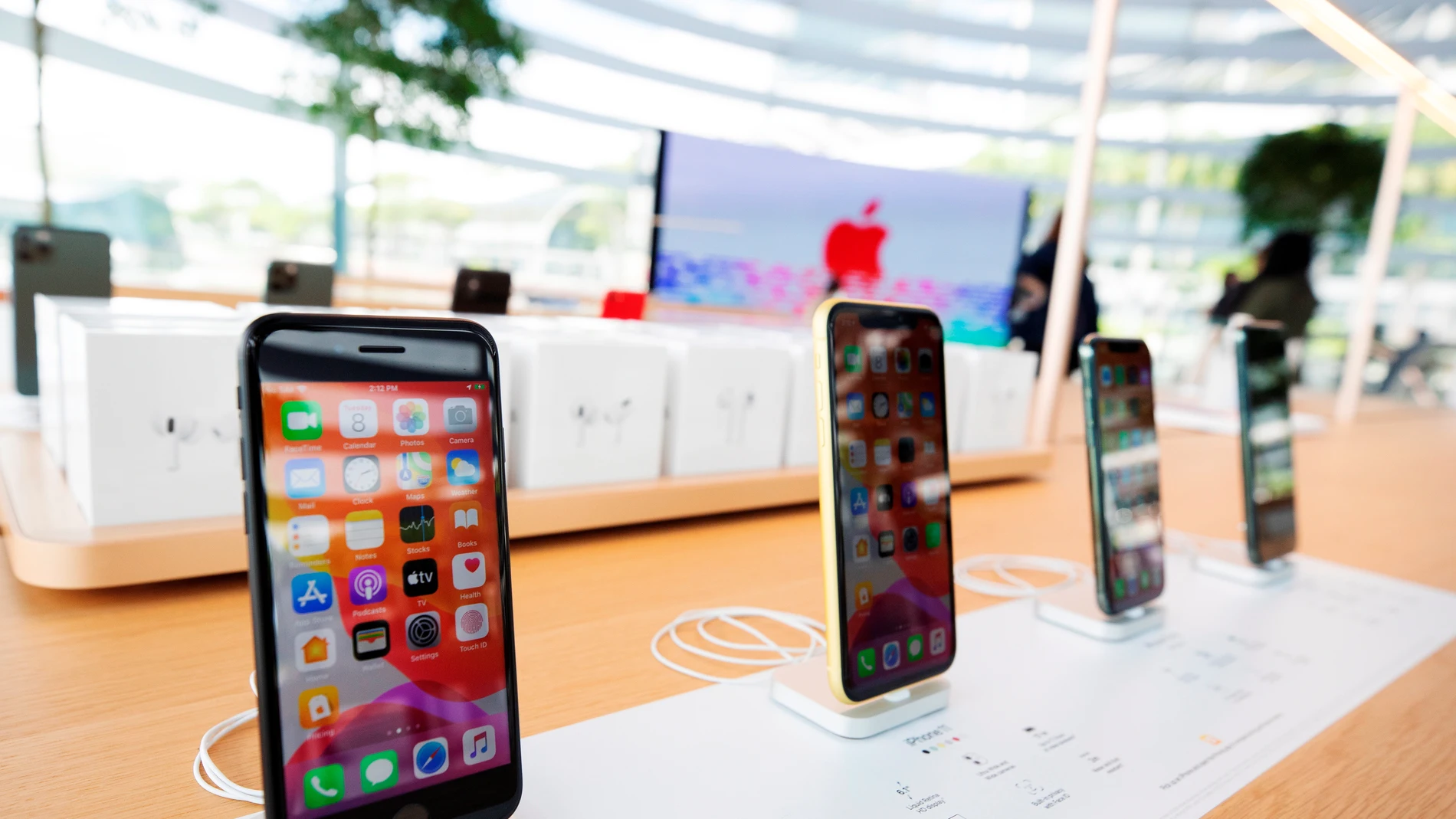 Diferentes modelos de iPhone en una tienda de Apple en Marina Bay