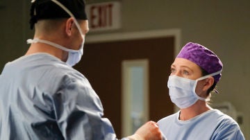 Richard Flood y Ellen Pompeo en 'Anatomía de Grey'