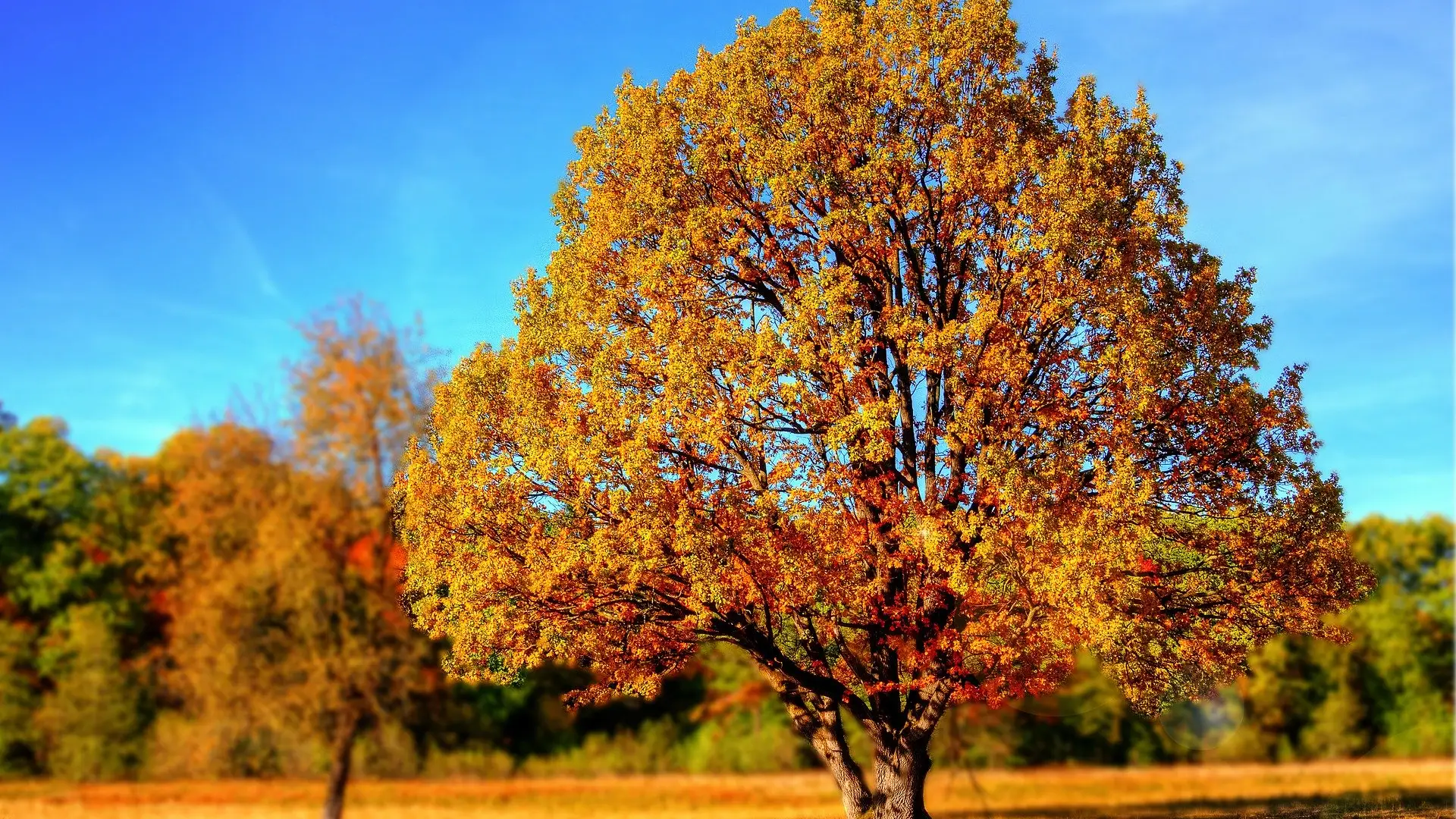 Equinoccio de oto&ntilde;o 2020: Cu&aacute;ndo y d&oacute;nde ver el equinoccio desde Espa&ntilde;a
