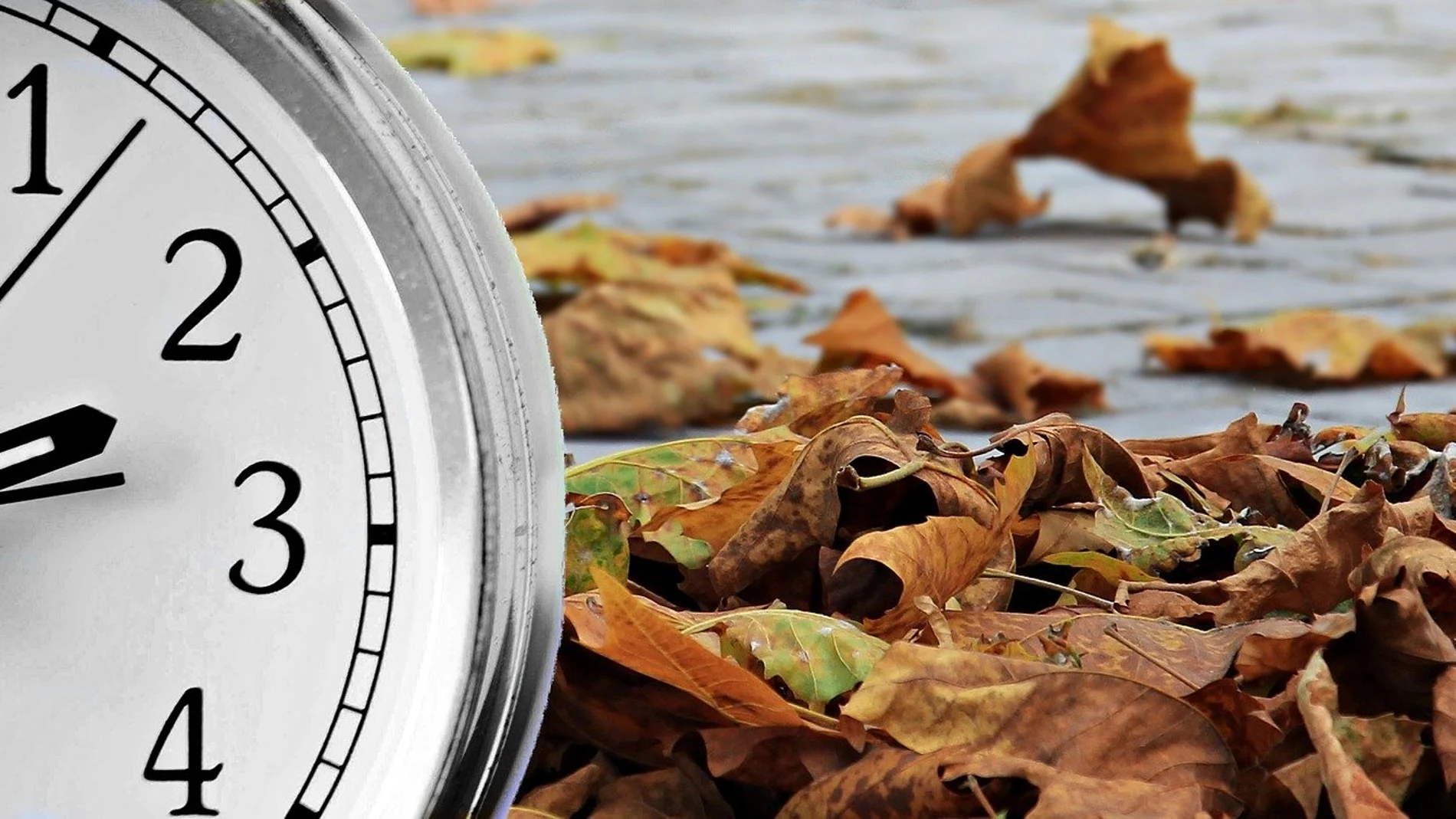 Otoño 2020: ¿Cuándo se cambia la hora al horario de invierno? Otoño 2020: ¿Cuándo se cambia la hora al horario de invierno?