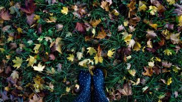 El tiempo en otoño de 2020: ¿Qué tiempo hará en septiembre, octubre y noviembre?