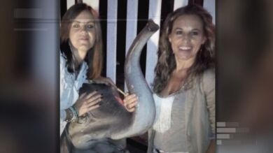 El detenido por la muerte de Manuela Chavero la desnudó, la enterró y quemó su ropa
