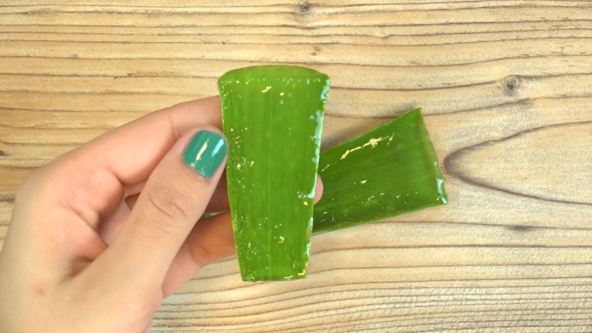 Aloe vera