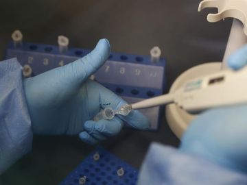 Eli Lilly frena los ensayos de su terapia contra el coronavirus