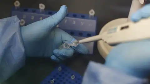Eli Lilly frena los ensayos de su terapia contra el coronavirus Eli Lilly frena los ensayos de su terapia contra el coronavirus