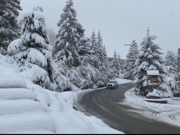 Estampa de los Pirineos nevados