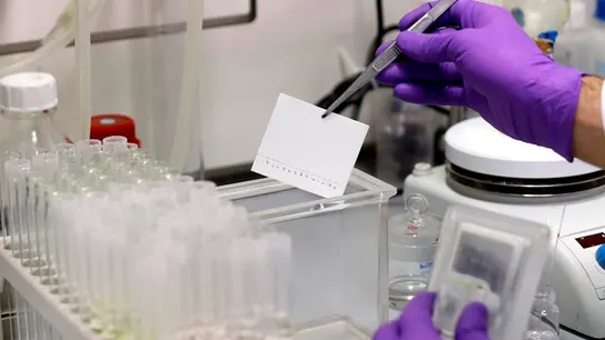 La española PharmaMar logra primeros resultados positivos en un medicamento contra el coronavirus Fármaco contra el Covid-19