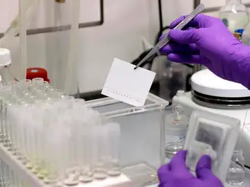 La española PharmaMar logra primeros resultados positivos en un medicamento contra el coronavirus La española PharmaMar logra primeros resultados positivos en un medicamento contra el coronavirus