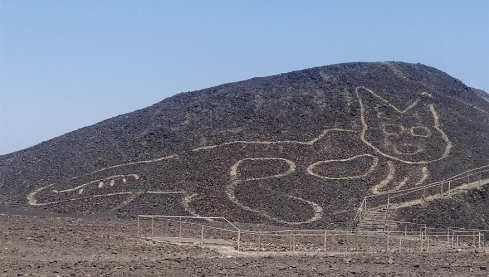 Descubren la figura de un gato de 37 metros ocultada 2.000 años en la Pampa de Nazca, Perú