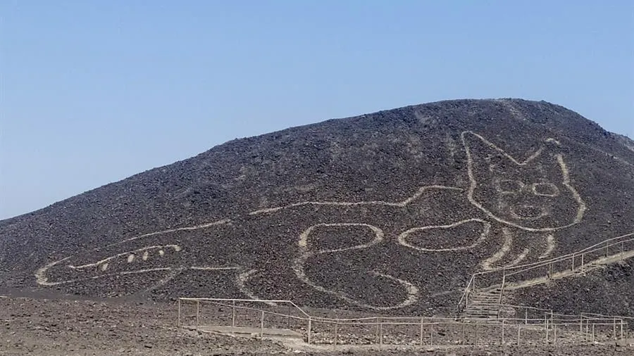 Descubren la figura de un gato de 37 metros ocultada 2.000 años en la Pampa de Nazca, Perú Descubren la figura de un gato de 37 metros ocultada 2.000 años en la Pampa de Nazca, Perú