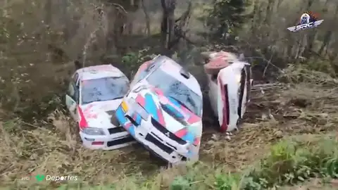 rally rally