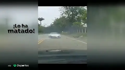 Un Porsche atropella a un ciclista en Colombia: "¡Mi papá!" Un Porsche atropella a un ciclista en Colombia: "¡Mi papá!"