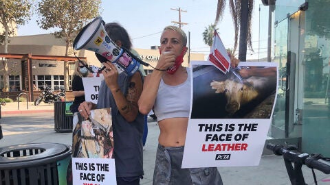 Activistas contra Angelina Jolie