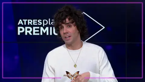 PremioMaskSinger PremioMaskSinger