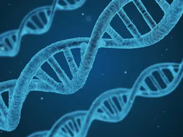 Descubren una nueva enfermedad genética: VEXAS Descubren una nueva enfermedad genética: VEXAS