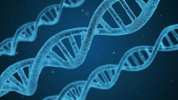 Descubren una nueva enfermedad genética: VEXAS