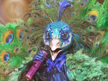 El Pavo Real desata su energía al ritmo de ‘The Best’ de Tina Turner El Pavo Real desata su energía al ritmo de ‘The Best’ de Tina Turner