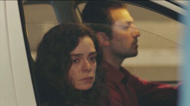 El momento de la verdad está cada vez más cerca: ¿Bahar se encontrará con Sarp esta noche en 'Mujer'?