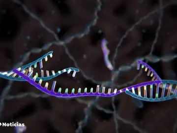 ‘Conversaciones Constantes y Vitales’ por una inversión del 2% en ciencia ‘Conversaciones Constantes y Vitales’ por una inversión del 2% en ciencia