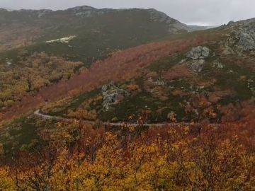 Un bosque para salvar a un pueblo