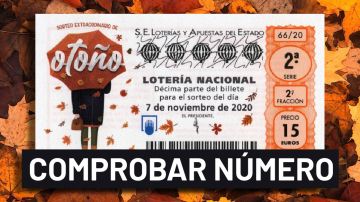 Sorteo Extraordinario de Otoño 2020: Resultado y comprobar número de la Lotería Nacional hoy, sábado 7 de noviembre