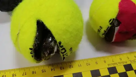 Detenido por arrojar pelotas de tenis con droga en su interior a la cárcel de Tenerife Detenido