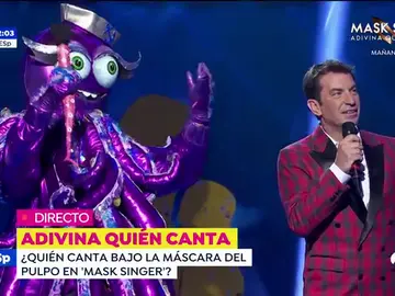 pulpo pulpo
