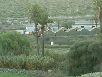 Campamento militar Canarias Campamento militar Canarias
