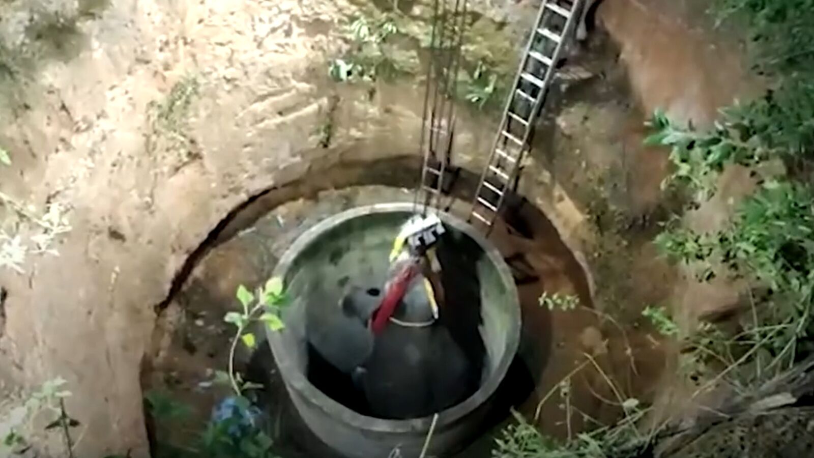 El espectacular rescate de 14 horas a un elefante que cayó en un pozo en la India