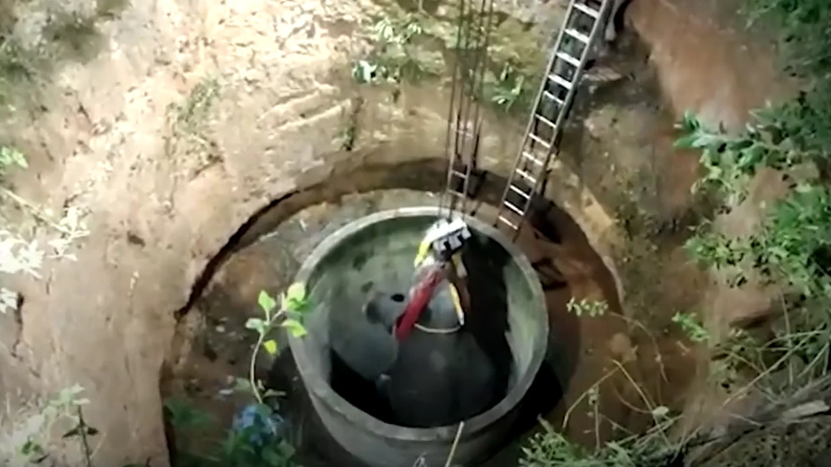 El espectacular rescate de 14 horas a un elefante que cayó en un pozo en la India El espectacular rescate de 14 horas a un elefante que cayó en un pozo en la India