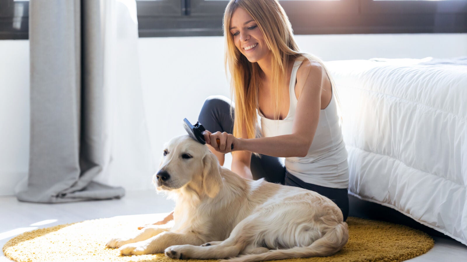 Esto es lo que debes hacer para que tu mascota suelte menos pelo