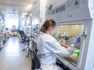 Datos del coronavirus en España | Oxford anuncia que su vacuna tendrá una eficacia del 70,4% Datos del coronavirus en España | Oxford anuncia que su vacuna tendrá una eficacia del 70,4%