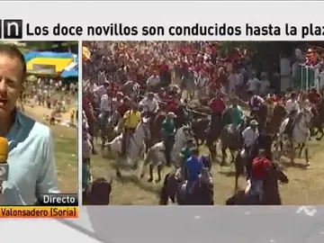 Soria vive el encierro de la Saca uno de los más peligrosos de España Soria vive el encierro de la Saca uno de los más peligrosos de España