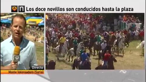 Soria vive el encierro de la Saca uno de los m&aacute;s peligrosos de Espa&ntilde;a