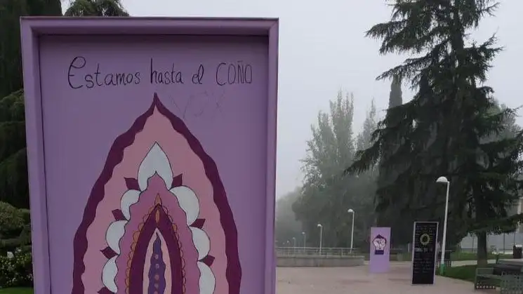 estas expresiones soeces y tabernarias no aportan nada a la denuncia contra la violencia de género Violencia de género