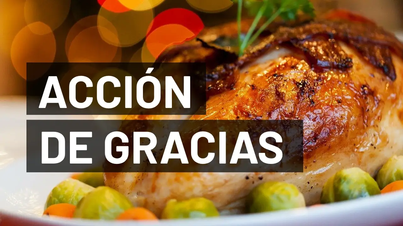 D&iacute;a de acci&oacute;n de gracias 2020