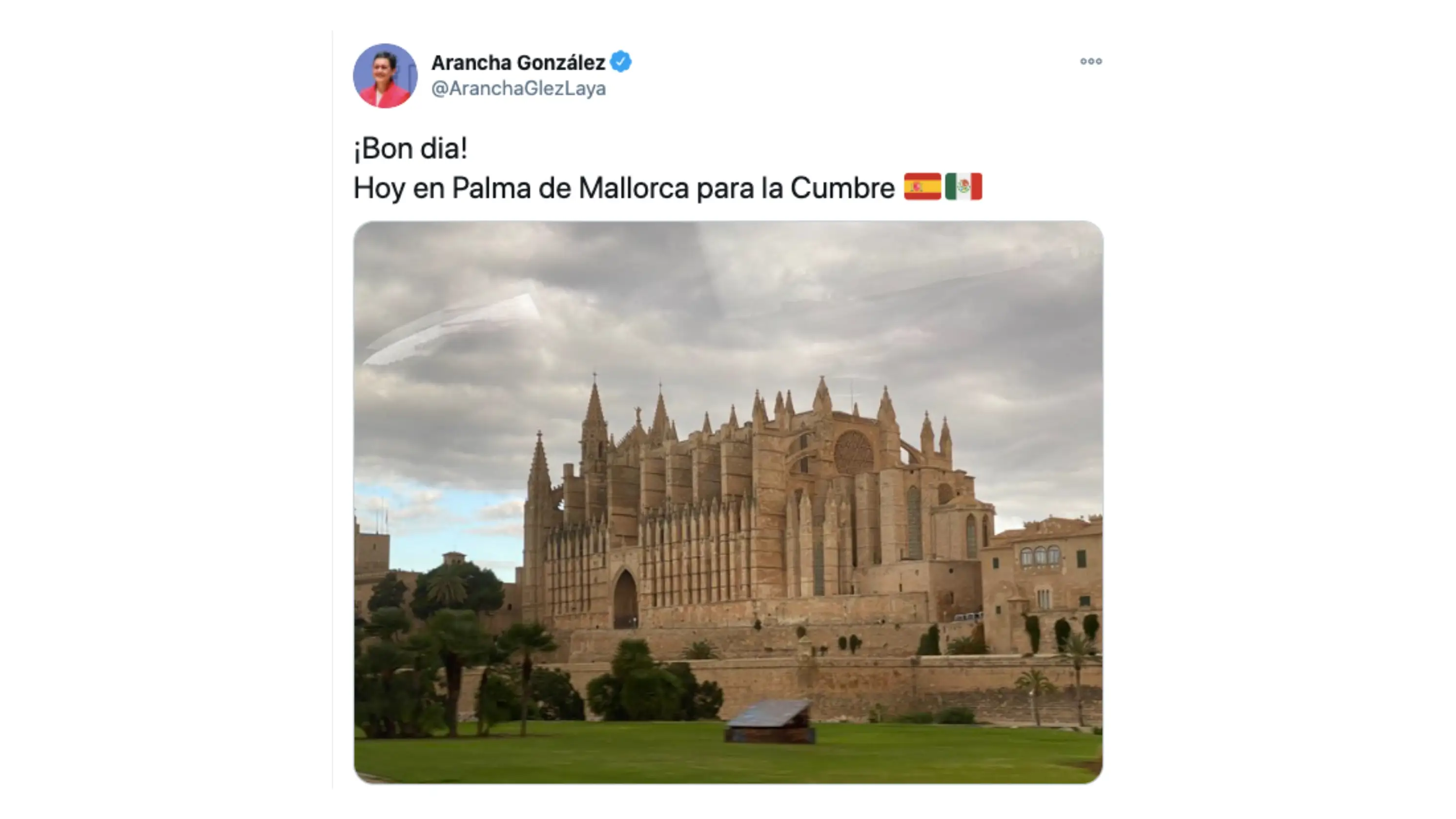 El tuit de Arancha Gonz&aacute;lez Laya