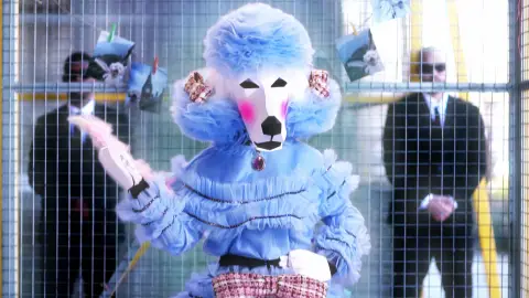 La nueva pista de Caniche: "Adoro montar a caballo y sentir el aire fresco golpeando mi hocico" La nueva pista de Caniche: "Adoro montar a caballo y sentir el aire fresco golpeando mi hocico"