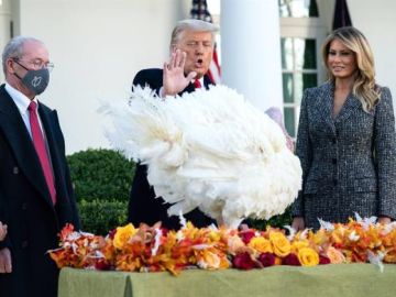 Donald Trump cumple con la tradición de indultar a un pavo por Acción de Gracias