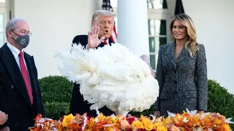Donald Trump cumple con la tradición de indultar a un pavo por Acción de Gracias Donald Trump cumple con la tradición de indultar a un pavo por Acción de Gracias
